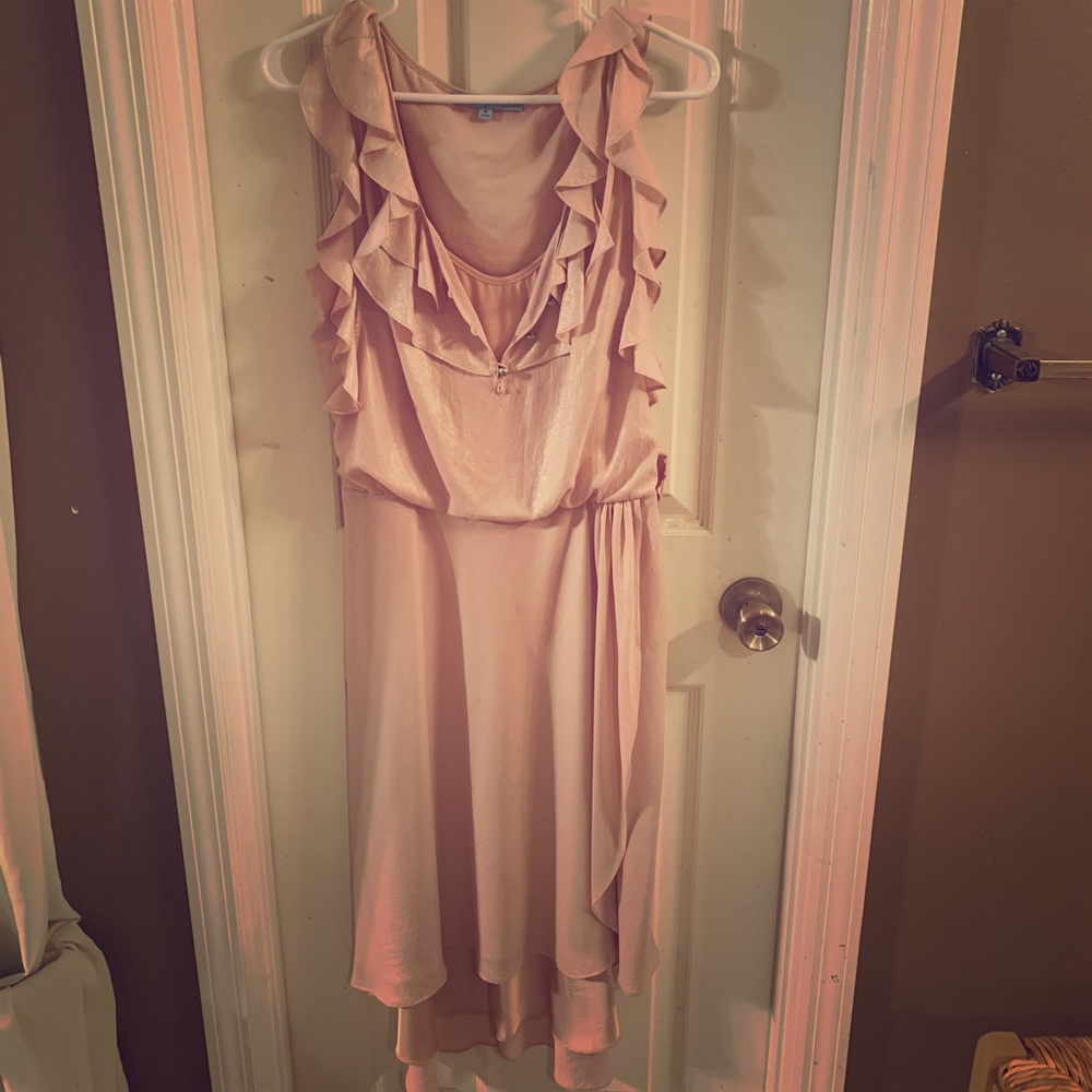 ANTONIO MELANI Blush Pink High-Low Ruffle Dress